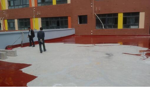 JS防水涂料施工现场