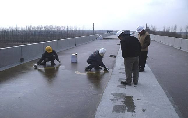 屋面防水施工_防水基面处理_开来SECOV湿克威防水