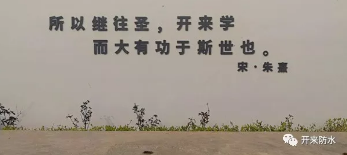 开来湿克威风采